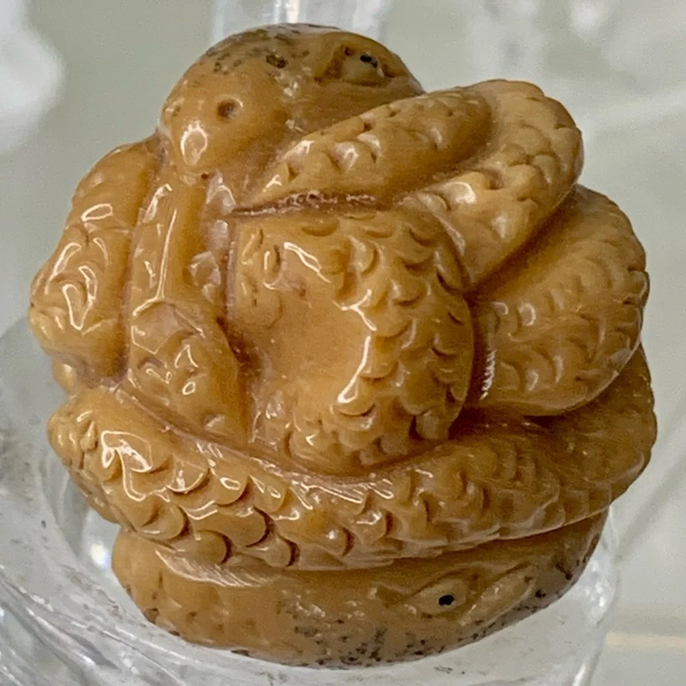 Vintage NETSUKE Carved Tagua Nut Snake Reptile Carving Bead Figurine Japanese